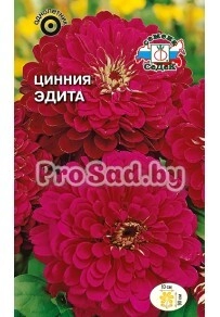 Цинния георгиновидная Эдита
