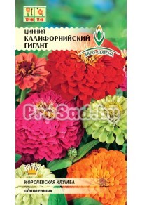 Цинния Калифорнийский гигант, смесь