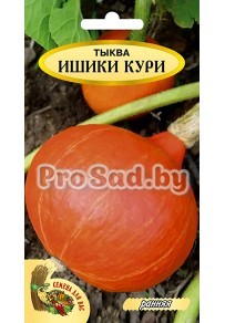 Тыква Ишики кури (Япония)