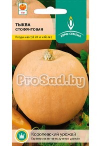 Тыква Стофунтовая