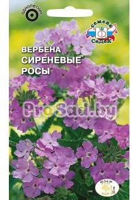 Вербена Сиреневые росы
