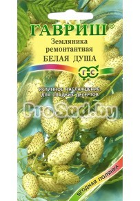Земляника Белая душа
