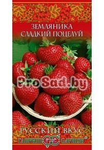 Земляника Сладкий поцелуй