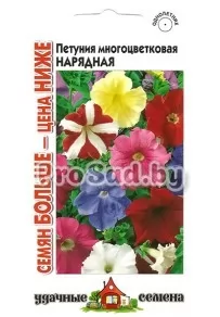 Петуния многоцветковая Нарядная, смесь