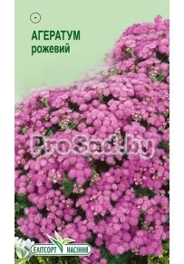 Агератум Хоустона Розовый