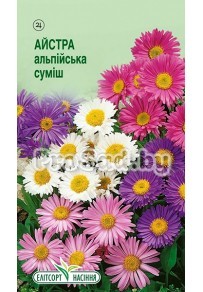 Астра Альпийская смесь