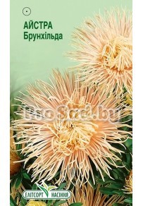 Астра Брунхильда