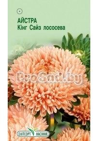 Астра Кинг сайз Лососевая
