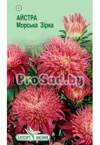 Астра Морская звезда