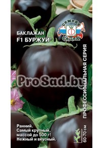 Баклажан F1 Буржуй