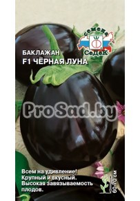 Баклажан F1 Чёрная луна