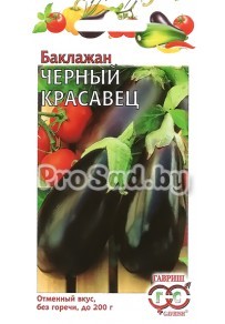 Баклажан Чёрный красавец