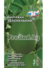 Баклажан Зелёненький