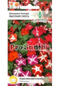 Бальзамин Уоллера Высокая смесь
