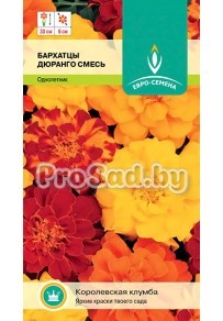 Бархатцы отклонённые Дюранго, смесь