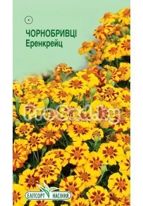 Бархатцы отклонённые Эренкрейц