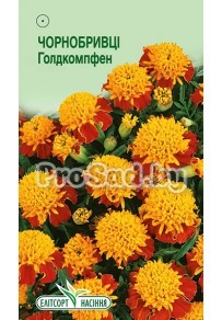 Бархатцы отклонённые Голдкомпфен