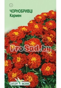 Бархатцы отклонённые Кармен