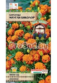 Бархатцы отклонённые Маугли биколор