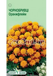Бархатцы отклонённые Оранжфлейм
