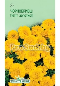 Бархатцы отклонённые Петит золотистые