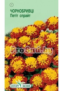 Бархатцы отклонённые Петит спрайт
