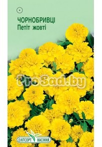 Бархатцы отклонённые Петит жёлтые