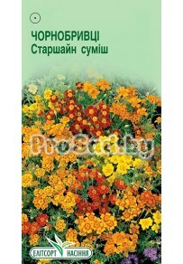 Бархатцы тонколистные Старшайн, смесь
