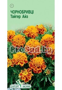 Бархатцы отклонённые Тайгер айз