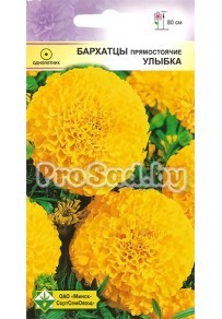 Бархатцы прямостоячие Улыбка