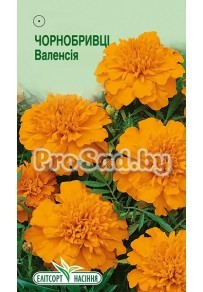 Бархатцы отклонённые Валенсия