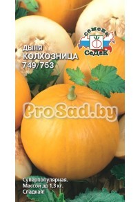 Дыня Колхозница 749/753