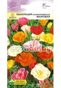 Эшшольция калифорнийская Махровая смесь