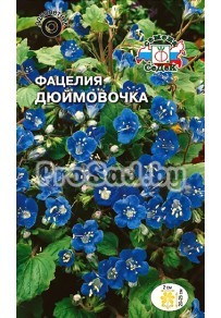 Фацелия колокольчиковая Дюймовочка