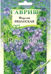 Фацелия пижмолистная Рязанская