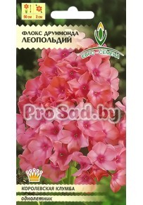 Флокс друммонда Леопольдий