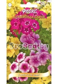 Флокс друммонда, смесь