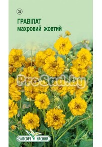 Гравилат чилийский махровый жёлтый