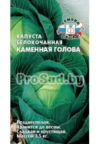 Капуста белокочанная Каменная голова