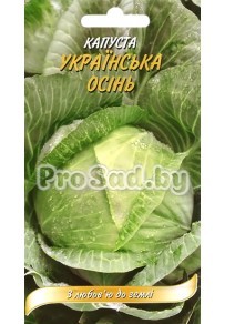 Капуста белокочанная Украинская осень