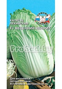 Капуста пекинская F1 Весенний нефрит