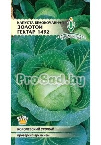Капуста белокочанная Золотой Гектар 1432