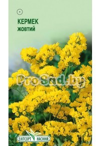 Кермек (Статица, Лимонум) выемчатый Жёлтый