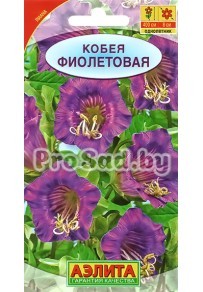 Кобея Фиолетовая