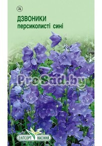 Колокольчики персиколистные Синие