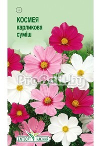 Космея (Космос) дваждыперистая Карликовая смесь