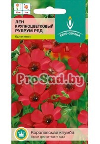 Лён крупноцветковый Рубрум ред
