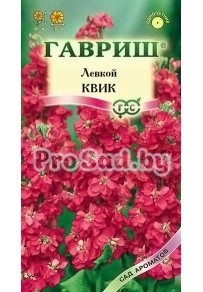 Левкой (Маттиола) Квик