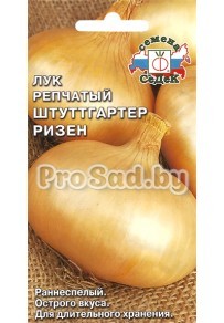 Лук репчатый Штуттгартер ризен