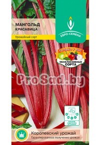 Мангольд Красавица